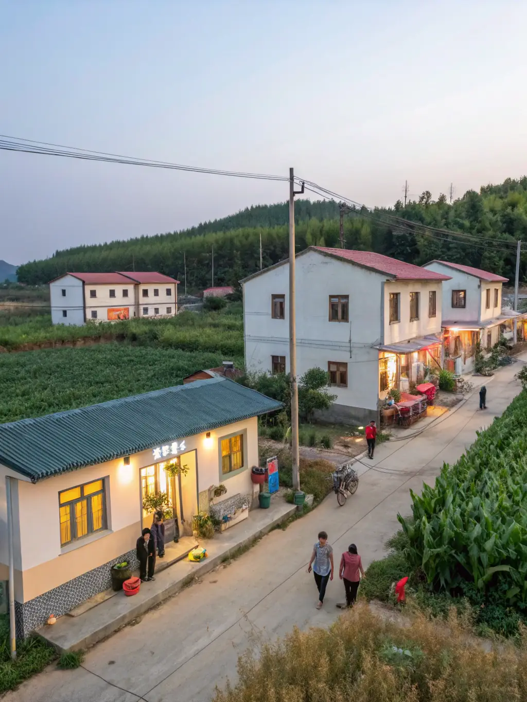 A wide shot of a rural community in Henan province, powered by Biotoc's biomass energy solutions, showing homes and businesses with electricity and heating. The image should convey a sense of progress and improved quality of life.